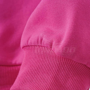 Sweat-shirts à capuche pour hommes, couleur unie, logo frontal de haute qualité, strass, coton/polyester, séchage rapide et respirant, pour l'hiver - Product Image 3