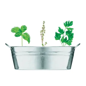Plateaux et couvercles personnalisés pour pépinières avec bols pour mélange de graines et herbes – Accessoires - Product Image 5