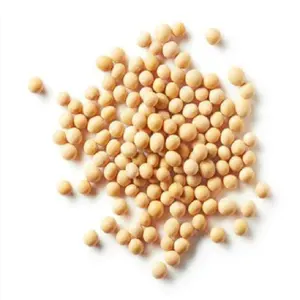 Kacang kedelai kuning kualitas ekspor non-gmo/Kacang kedelai Premium UNTUK pupuk kedelai