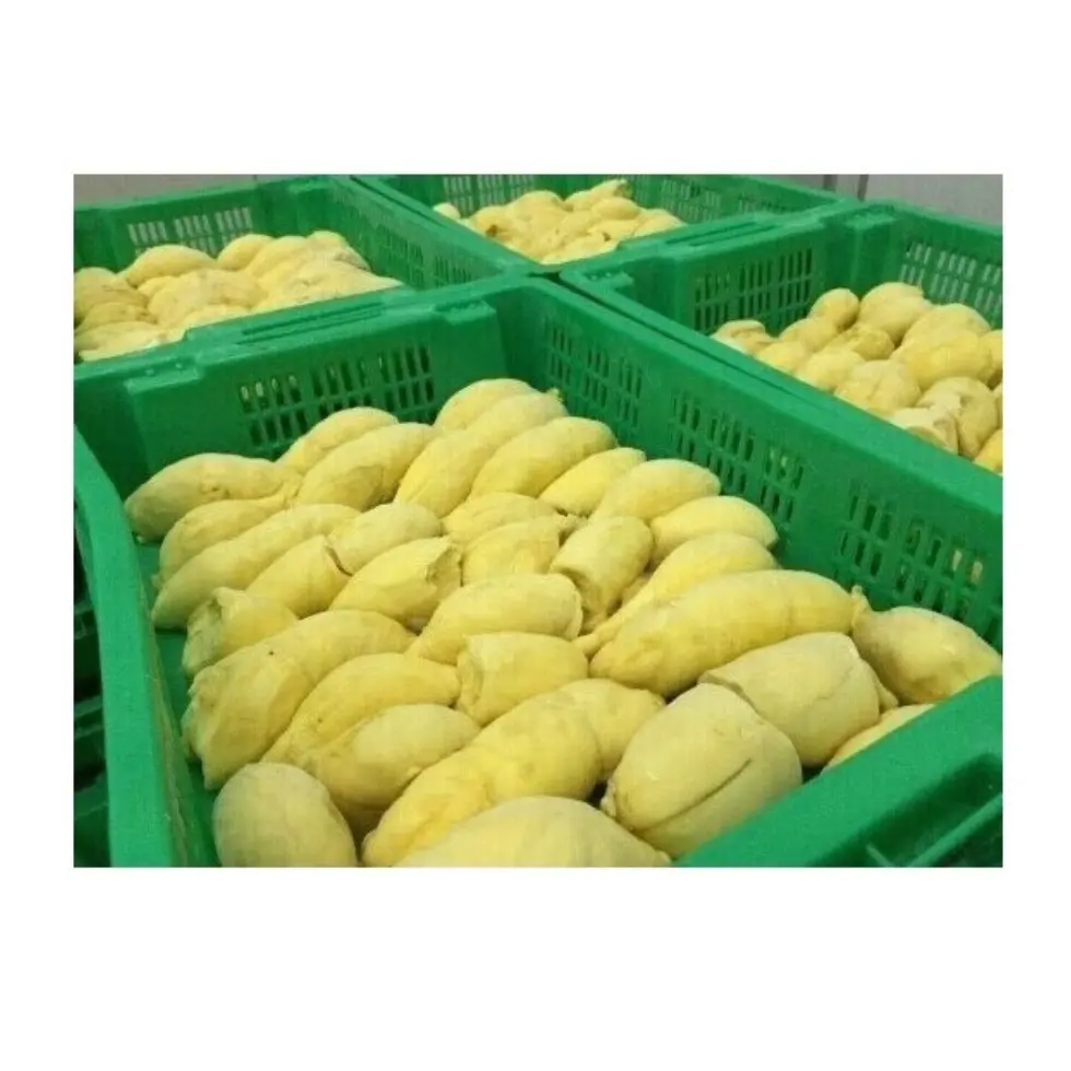 Durian kupas Frozen kualitas tinggi pengiriman cepat dari Vietnam 99 Data emas