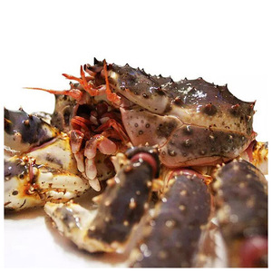 Vente en gros de crabes royaux / Meilleures ventes de pattes de crabes royaux surgelées en gros / Acheter des pattes de crabes royaux rouges canadiens - Product Image 1