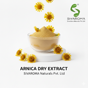 Poudre d'extrait d'arnica pour la fabrication à grande échelle de produits cosmétiques et de soins de la peau - Product Image 2