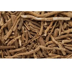 Wholesale 100% Natural Ashwagandha Root Bulk Purchase Indian Organic Ashwagandha Root Supplier From India