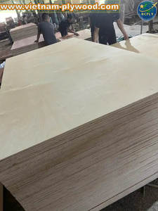 Fabricante de contrachapado de Vietnam, exportador OEM disponible, núcleo fuerte interior de contrachapado de abedul, grosor de 1220x2440 para uso en almacén - Product Image 2