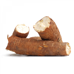 In Stock <b>Fresh</b> Organic <b>Cassava</b> From France Available in Large Quantity Best Factory Price Fast Delivery - Product Image 2