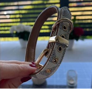 Collier de chien en cuir vert de haute qualité pour lévrier et Whippet - Product Image 2