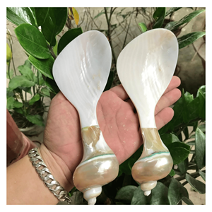 Cuchara de Nácar, Cuchara de Material Natural de Concha para Postre, Café, Té, para Remover y Juegos de Vajilla de Lujo, Vietnam - Product Image 6