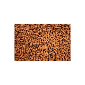 Granulés de bois de chêne solides disponibles pour le commerce de gros et les projets de biomasse - Product Image 6