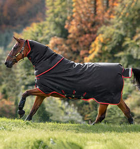 Couverture de cheval d'extérieur pour dressage, ovale, 1200D, imperméable, respirante, doublure rembourrée de plumes, 2 sangles de jambe, légère et de luxe - Product Image 3
