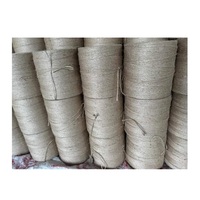 Bangladeshi Factory Natural Raw Jute Yarn 100% Jute Eco-Friendly Anti-Bacteria Sewing Use Customizable Wholesale BD