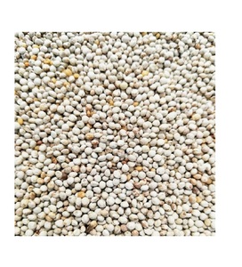 Vente chaude graine canari graine d'oiseau pour la nourriture pour oiseaux graine de perilla blanche - Product Image 6