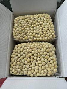 Quality <b>Macadamia</b> <b>Nuts</b> Food Grade Dried Raw Style Cheap for Sale - Product Image 2