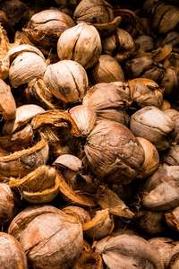 CASCA DE COCO CRUDO SECA ORIGINAL QUE FABRICA CARBÓN CALIENTE EXPORTACIÓN 2024 - Product Image 4