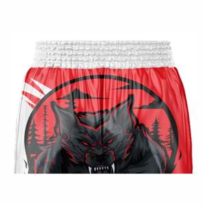 Pantalones Cortos de MMA Personalizados de Alta Calidad, Diseño Personalizable, Ropa Deportiva Estampada para Entrenamiento de Artes Marciales - Product Image 6