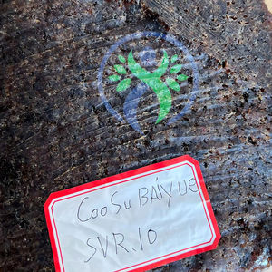 Materias primas de caucho SVR 10 de alta calidad de Vietnam para la producción de calzado y neumáticos - Product Image 1