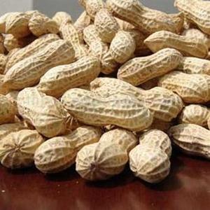 มาตรฐานราคาถูกแช่แข็งต้มถั่วลิสงส่งออก Ms โซฟี - Product Image 2