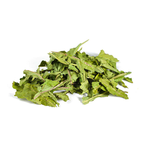 VENTE EN GROS FEUILLES DE THÉ NATURELLES DE PISSENLIT FEUILLES SÉCHÉES THÉ AUX HERBES SANS ADDITIF DU VIETNAM - Product Image 1