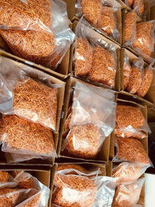 Cordyceps militar directo de fábrica liofilizado con servicio OEM/ODM/Lirio - Product Image 3