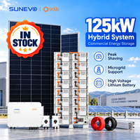 Sistem Penyimpanan Energi Surya Solis 100kW 125kW 300kW 500kW dengan Desain Hibrida Terintegrasi untuk Tenaga Listrik Pabrik Terpencil