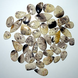 Cabujón Natural de ágata de raíz de Palma, piedra preciosa pulida a mano, lote de ágata de raíz de Palma suelta para fabricación de joyas - Product Image 1