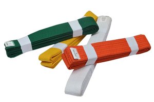 Ceinture d'arts martiaux taekwondo - Product Image 3
