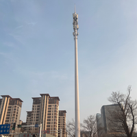 Tour de télécommunication monopôle en acier galvanisé à chaud de 10m à 60m, sectionnelle et polygonale, pour antenne de station de base cellulaire 5G