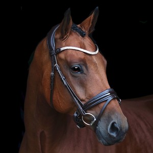 Haute qualité nouvelle bride de cheval multicolore en cuir véritable Snaffle en pleine taille en gros équipement de cheval noir - Product Image 4