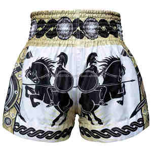 Customized Logo Unisex MMA Training <b>Shorts</b> Breathable Lightweight Gym Kickboxing Wear New Arrival Muay Thai <b>Shorts</b> with Logo - Product Image 5