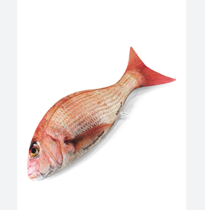 Đông Lạnh 150-350G Kích Thước Tươi Chất Lượng Cao Đông Lạnh Màu Đỏ Cá Hồng Biển Cá Cá Cá Tươi Cả Vòng - Product Image 6