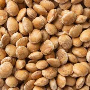 TOP EXPORTACIÓN NUECES PUROS INCA EN 2024 - Product Image 3