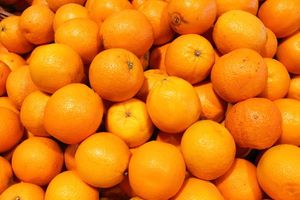 Naranja Navel Fresca Orgánica de Primera Calidad en Venta - Product Image 4