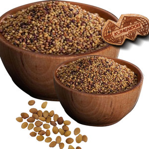 Trébol de Berseem | Procesado ordenadamente para exportación global - Product Image 1