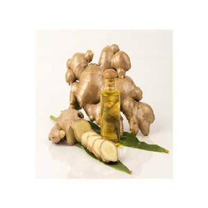 Huile essentielle de gingembre naturelle de qualité supérieure Meilleur prix Huile de support Vente directe d'usine - Product Image 1