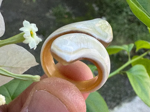 Anillo de Cuerno de Búfalo Ecológico de Alta Calidad, Duradero, Ligero, Moderno, con Forma Personalizada, Accesorio para Hombres y Mujeres, Regalo de Boda SANIYA - Product Image 6