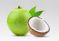 Te koop: Gedroogde kokosnoot, 100% natuurlijk, zoet, hoge kwaliteit, Vietnam, 12 maanden houdbaarheid, groothandel, klaar voor export, goedkope prijs +84