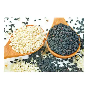 Bulk Stock Available Of Natural Raw Sesame Seeds 100% Pure White Hulled Sesame Seed At Wholesale Prices