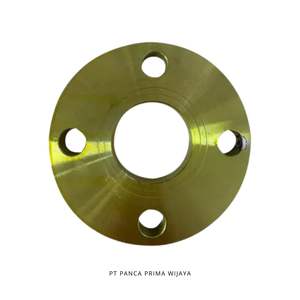 Raccord de tuyau industriel à tête carrée à bride en acier au carbone de haute qualité JIS 10K 2 pouces avec placage de qualité - Product Image 1