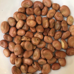 Natural Fresh <b>Small</b> Fava Beans For Sale Premium <b>Small</b> Fava Beans With High Purity And Perfect Size For Bulk Orders - Product Image 5