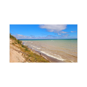 Disponible para la venta a precios imbatibles Obtenga Beech Long para su próximo proyecto de carpintería o construcción disponible a un gran - Product Image 6