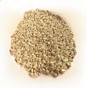 RIZ BRUN JAPONICA DE HAUTE QUALITÉ CHOIX NUTRITIF ET SAIN POUR L'EXPORTATION DU MARCHÉ DE L'UE, NOUVEAU TAUX DISPONIBLE | W/A: 0084909740687 - Product Image 1