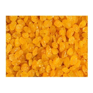 Raisins secs naturels de qualité assurée (raisins secs) – Achat en gros / Fabricant de fruits secs - Product Image 5