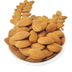 Almendras Secas Naturales con Alto Contenido de Proteína de Proveedor Directo |   Almendras Crudas Sin Cáscara, Certificadas Orgánicas, 99.5% de Contenido, 24 Meses de Vida Útil - Product Image 1