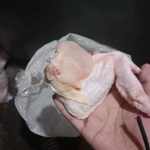 ปีกไก่แช่แข็งฮาลาลราคาถูก สำหรับย่าง ทอด อบ มีจำหน่าย - Product Image 1