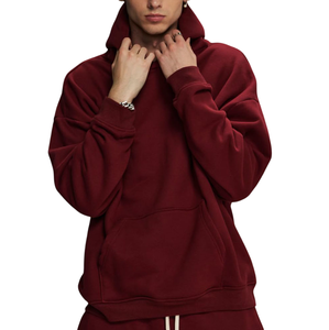 Sweat-shirts à capuche de haute qualité pour hommes, sweat-shirt uni pour l'extérieur avec design de couleur unie, logo personnalisé, basiques en coton mélangé, sweat-shirts pour hommes - Product Image 2