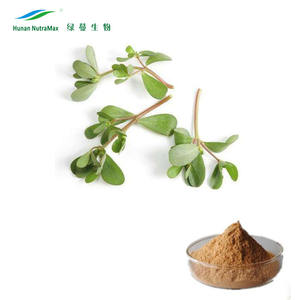 Высококачественный травяной экстракт бакопа Монье, экстракт порошка с бакопером 20%-50% - Product Image 2