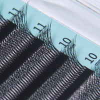 Extensions de cils synthétiques 7D en forme de W, volume pré-fait, souples, faciles à poser, courbure C/D, 0,07 mm, avec logo personnalisé pour votre marque