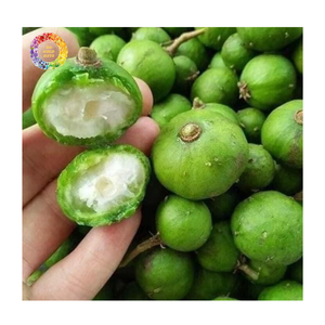 ผลไม้แช่แข็ง IQF ผลไม้แช่แข็งทั้งลูก ผลไม้แช่แข็งดราคอนโทเมลอนสำหรับเครื่องดื่มและอาหาร ผลไม้ดราคอนโทเมลอนแช่แข็งสด IQF ผลไม้ดราคอนโทเมลอนสีเขียว - Product Image 6