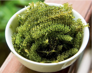 Best-seller: 100% Raisins de Mer Naturels Idéal pour la Santé et la Cuisine - Product Image 3