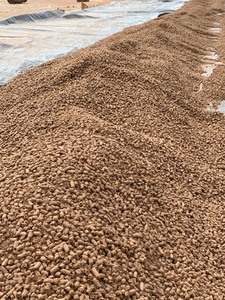 Granulés fermentés de bagasse de canne à sucre pour l'alimentation animale Origine Vietnam Fabricant GIA GIA NGUYEN Prix compétitif Bloc pressé 36 - Product Image 3