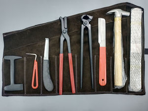 Ensemble d'instruments vétérinaires équins professionnels de qualité supérieure, réutilisables, certifiés CE, kit d'outils de maréchal-ferrant pour chevaux, kit de toilettage, pince à sabots - Product Image 6